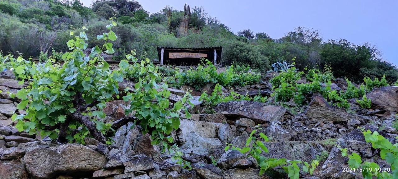 Vina Cazoga Villa Sober Ngoại thất bức ảnh